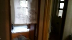 Tan Sim Boh Road (D11), Semi-Detached #275264761